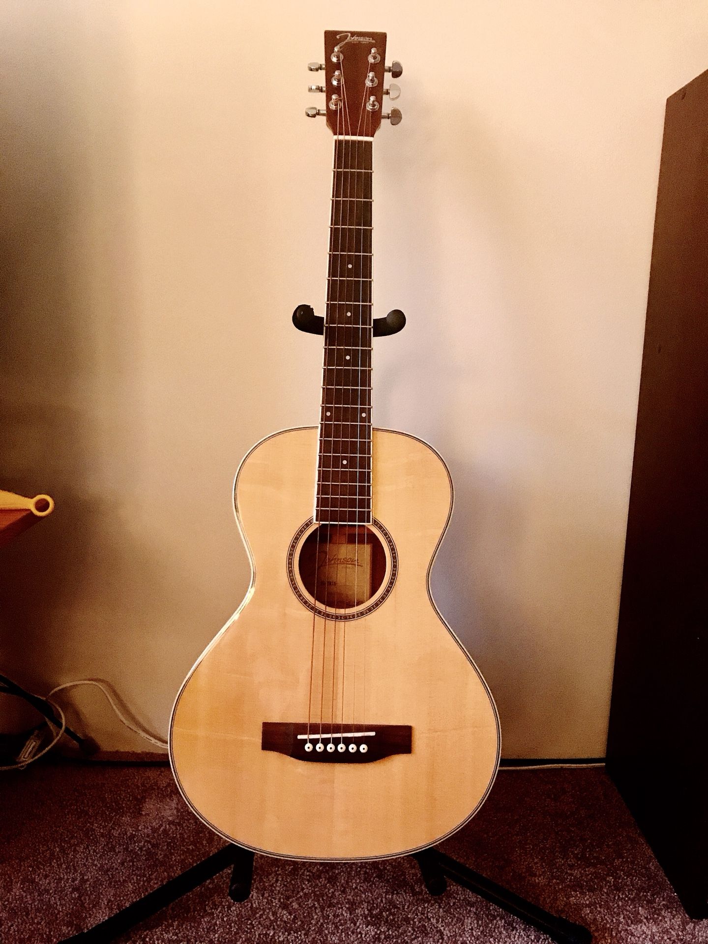 Johnson JG-TR15 guitar ( comes with cover, dryer, extra strings)