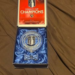 Florida Panthers Stanley Cup Final  Game Used Ice with Coa 