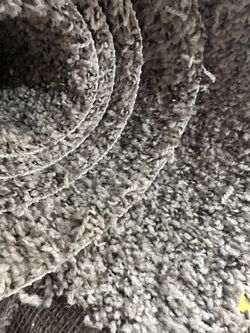Carpet *Summer Special *