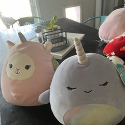Squishmallow 