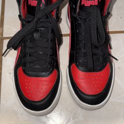 Puma 