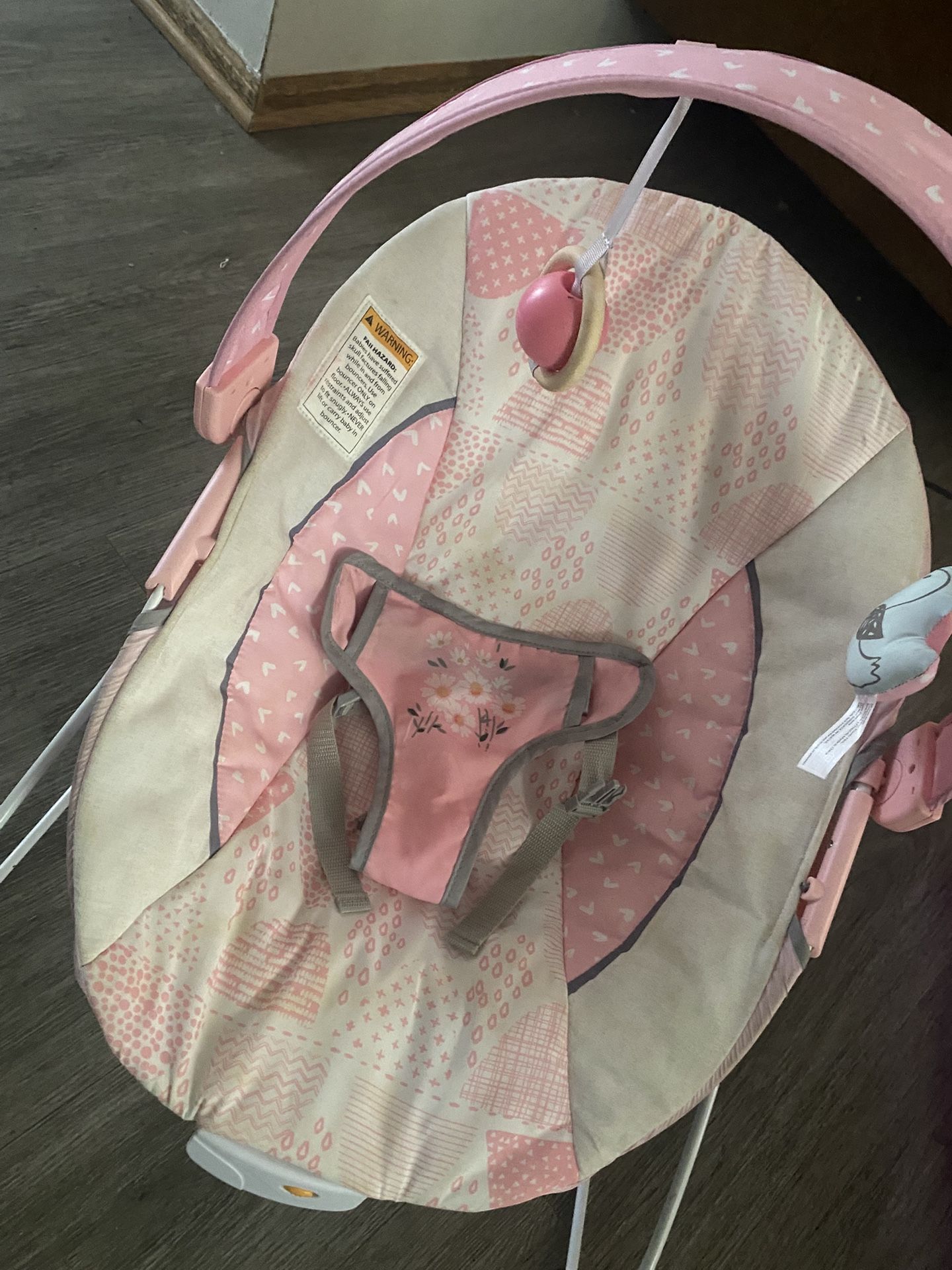 Baby Bouncer