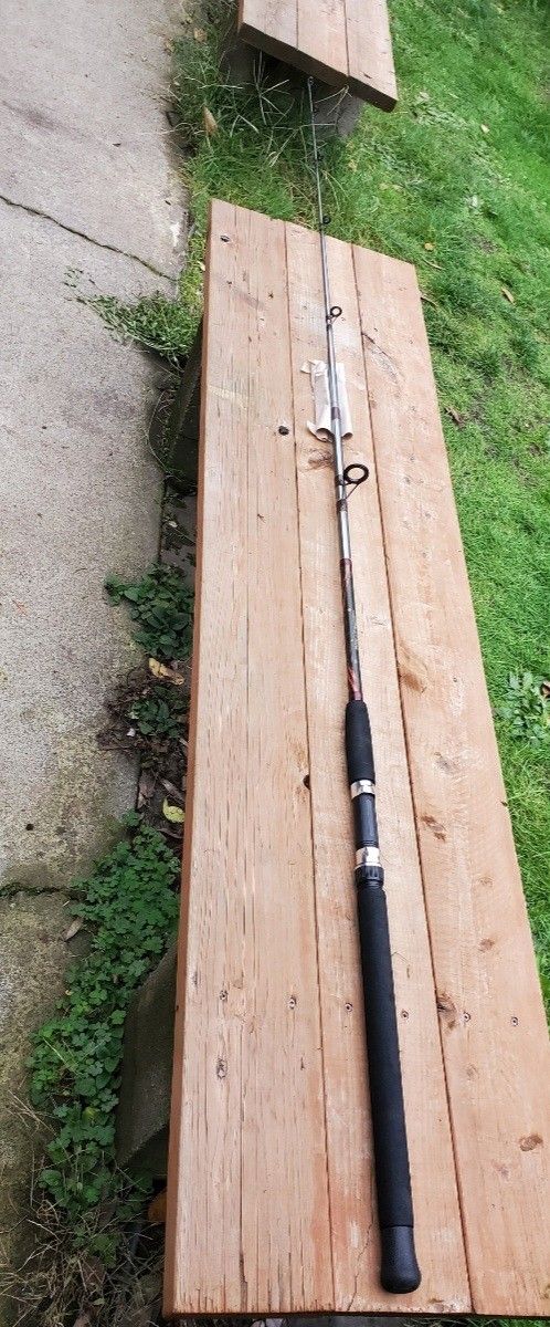 Calypso Salmon Run 8'0" Fishing Spinning Rod