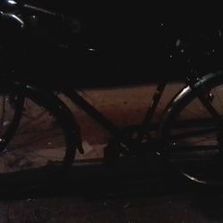 Schwinn Bike. $100