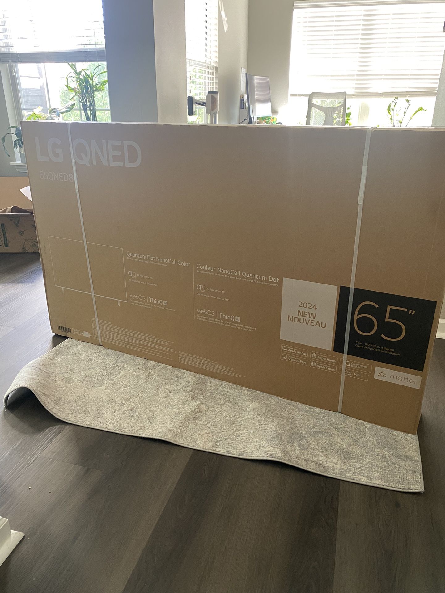 LG QNED 65” TV
