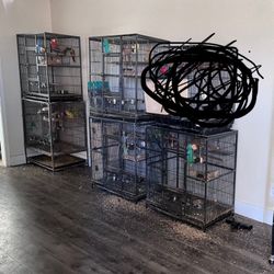 5 Matching Large Bird Cages 