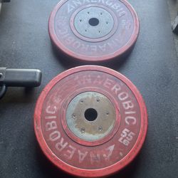 55 lbs  Olympic Bumper Weight Plates…. Home Gym Fitness….