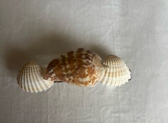 Seashell hair clip handmade