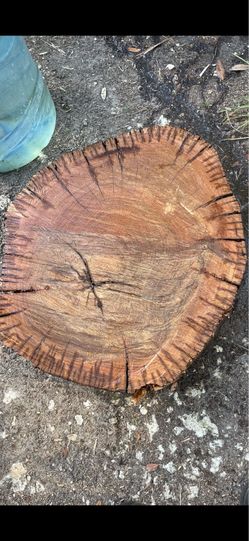 Sinker log