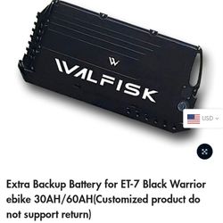 Extra Large Ebike Battery 