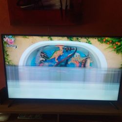 50" Roku Smart Tv With Remote.  Please Read  Description!!! 