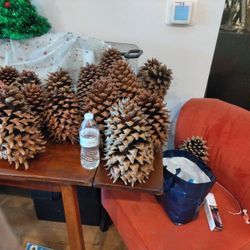 Widow Marker Pine Cones