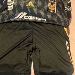 set de jovencito del monterrey Tigeres