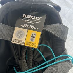 IGLOO Cooler Bag