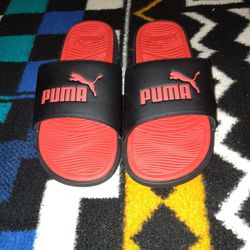 Pumas Slides 