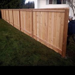 Fence 
