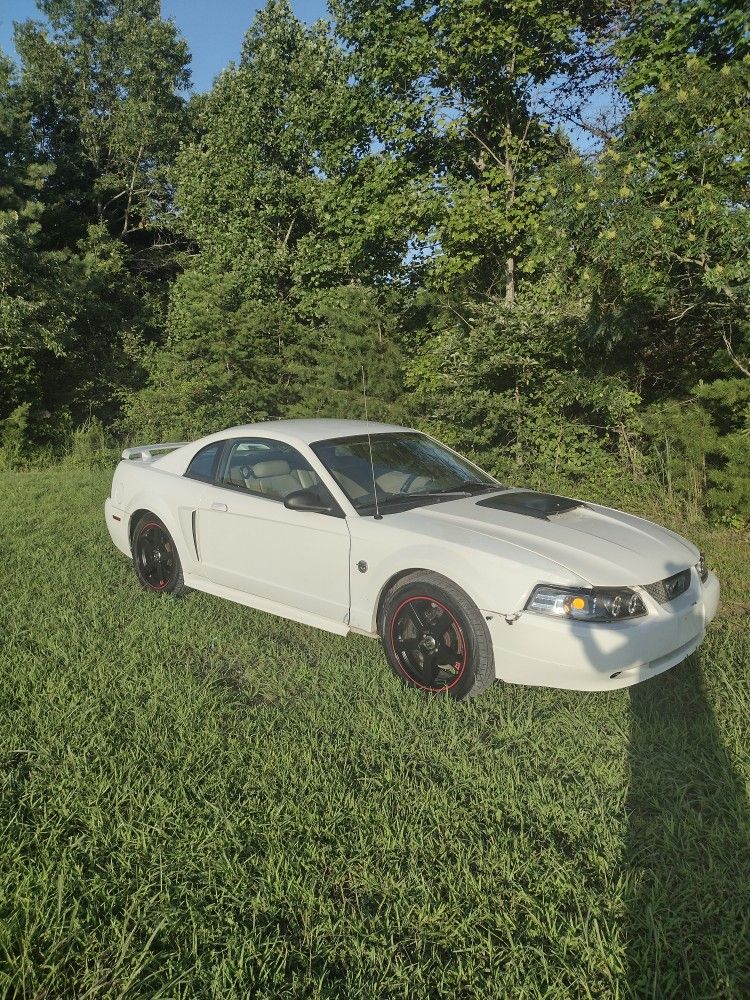 2004 Ford Mustang
