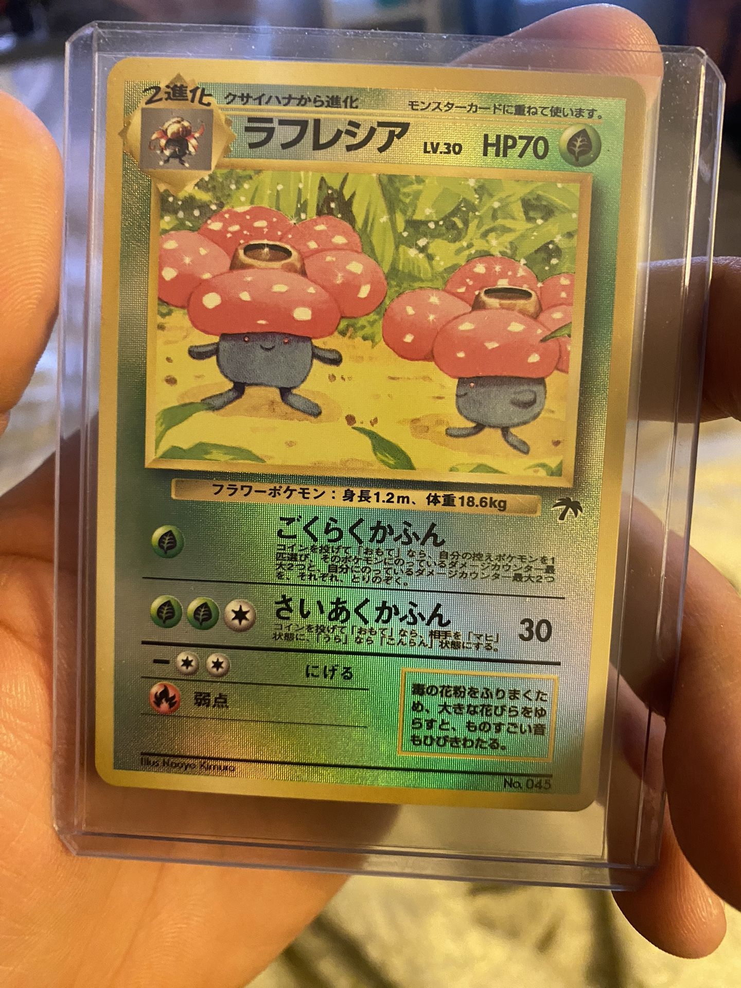 Pokémon Lot