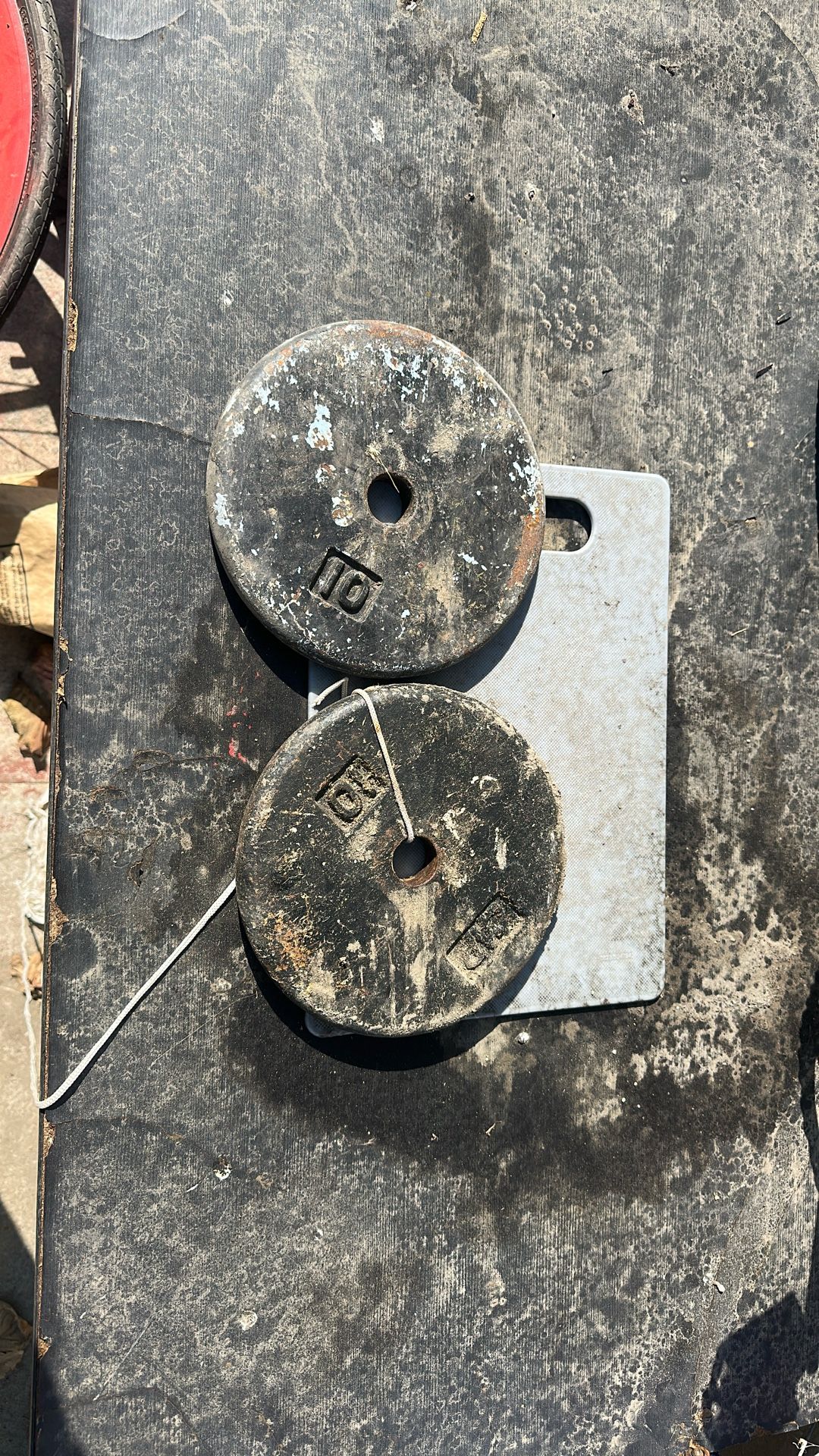 Bench Press/ Seat