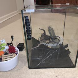 Five Gallon Nano Fish Tank with Led light, decorations and water pump