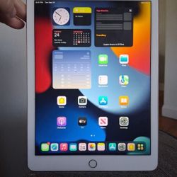 Apple Ipad Air 2 64 Gigs 