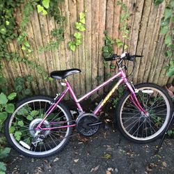 Bike (Local Pick Up Only!)