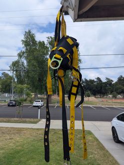 Safety harness