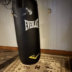 Punch Bag