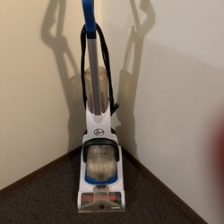 Carpet Cleaning Bissell 