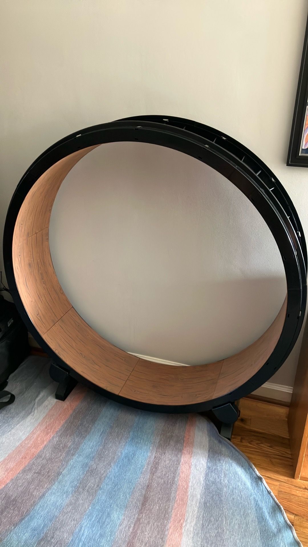 Cat wheel