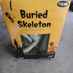 Buried Skeleton Bones 