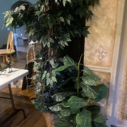 Artificial Plants $5 Each
