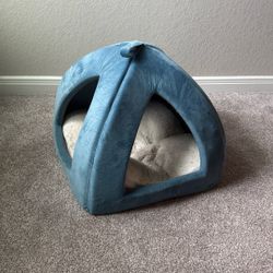 Free pet bed 