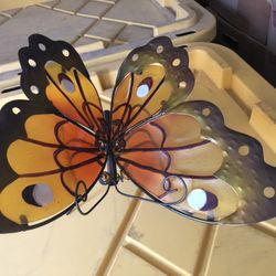 Big Butterfly 