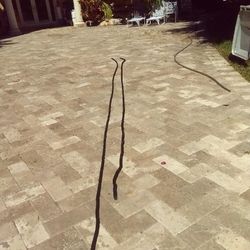 Mooring Rope 1 1/2" 16 & 18 Ft Both For $40