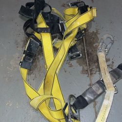 Harness 
