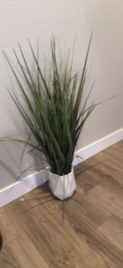 Fake Plant