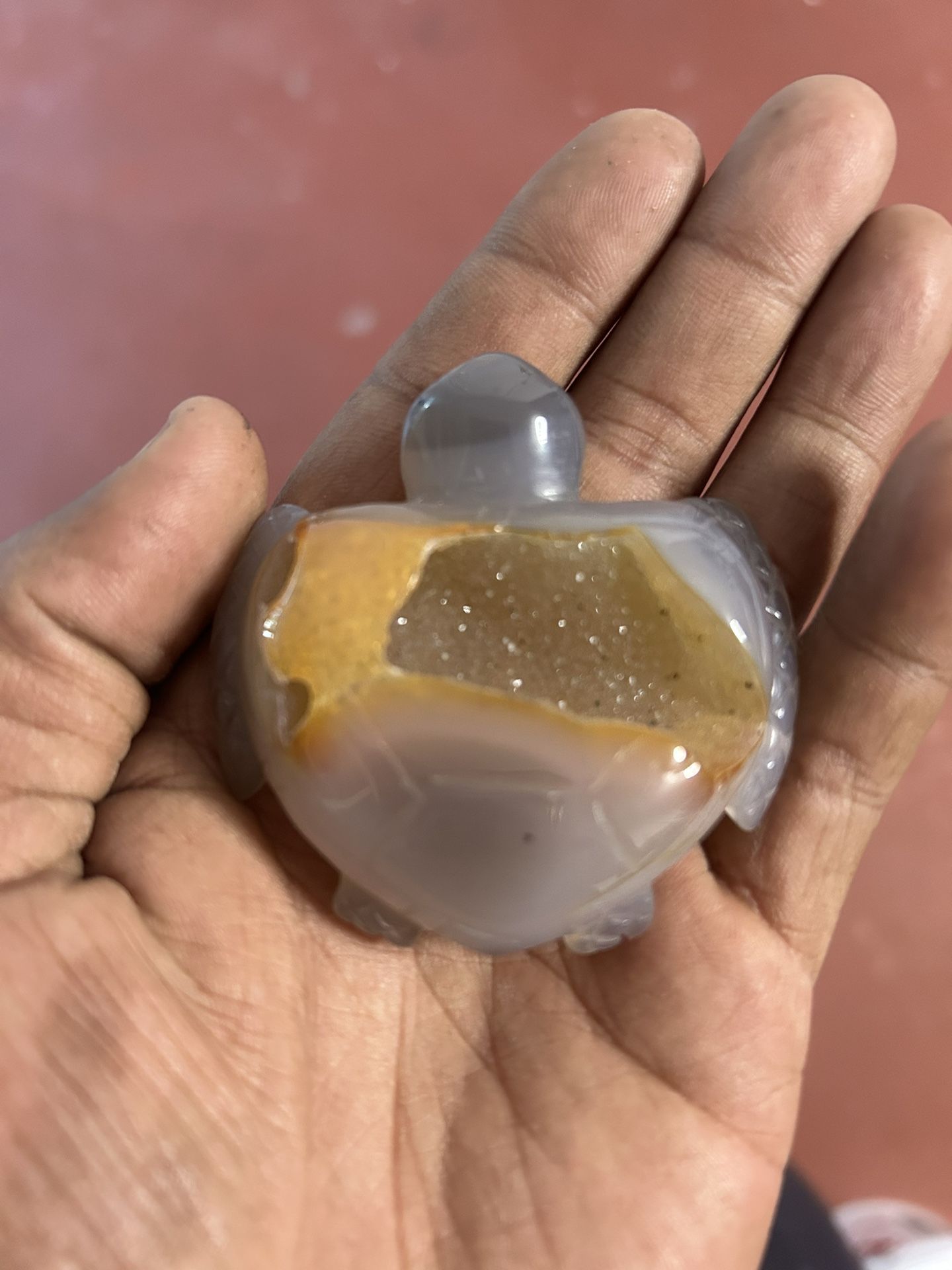 Druzy Turtle