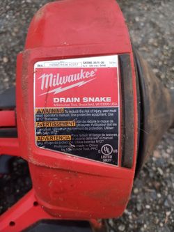 Pipe snake