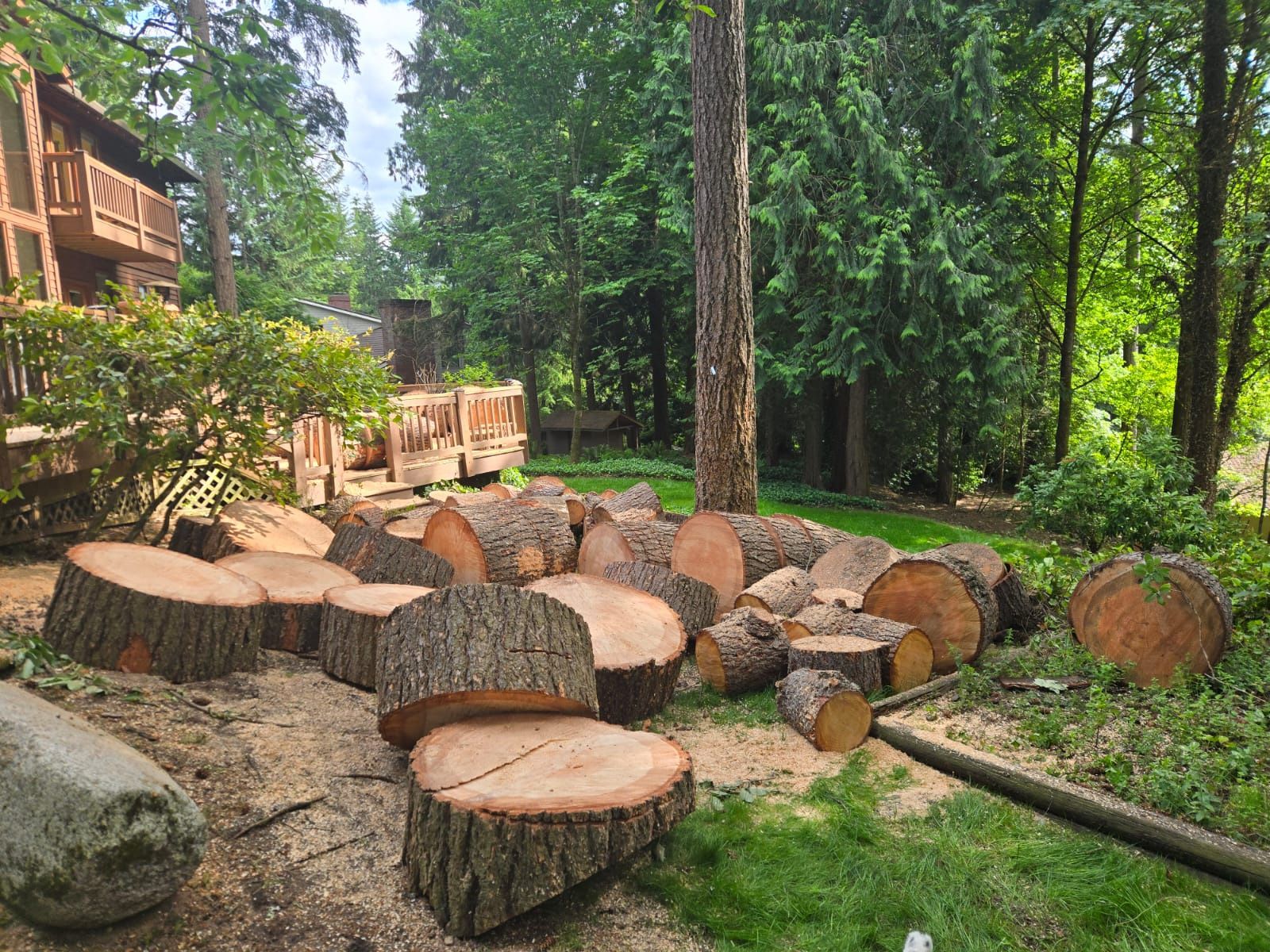 Free Wood