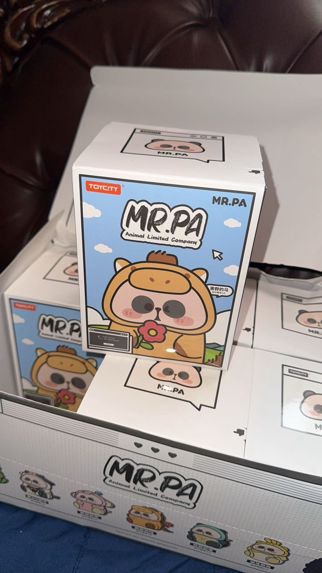 mr pa blind box