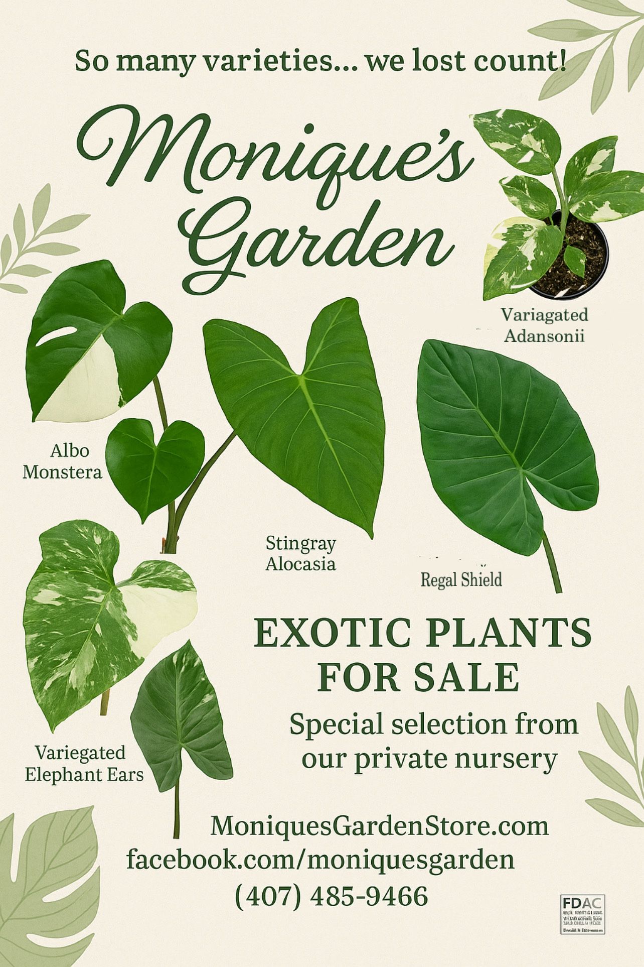 Where the Rare Things Grow- Exotic Plant Shop