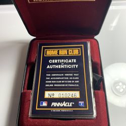 Home Run Hero 1993 Pinacale