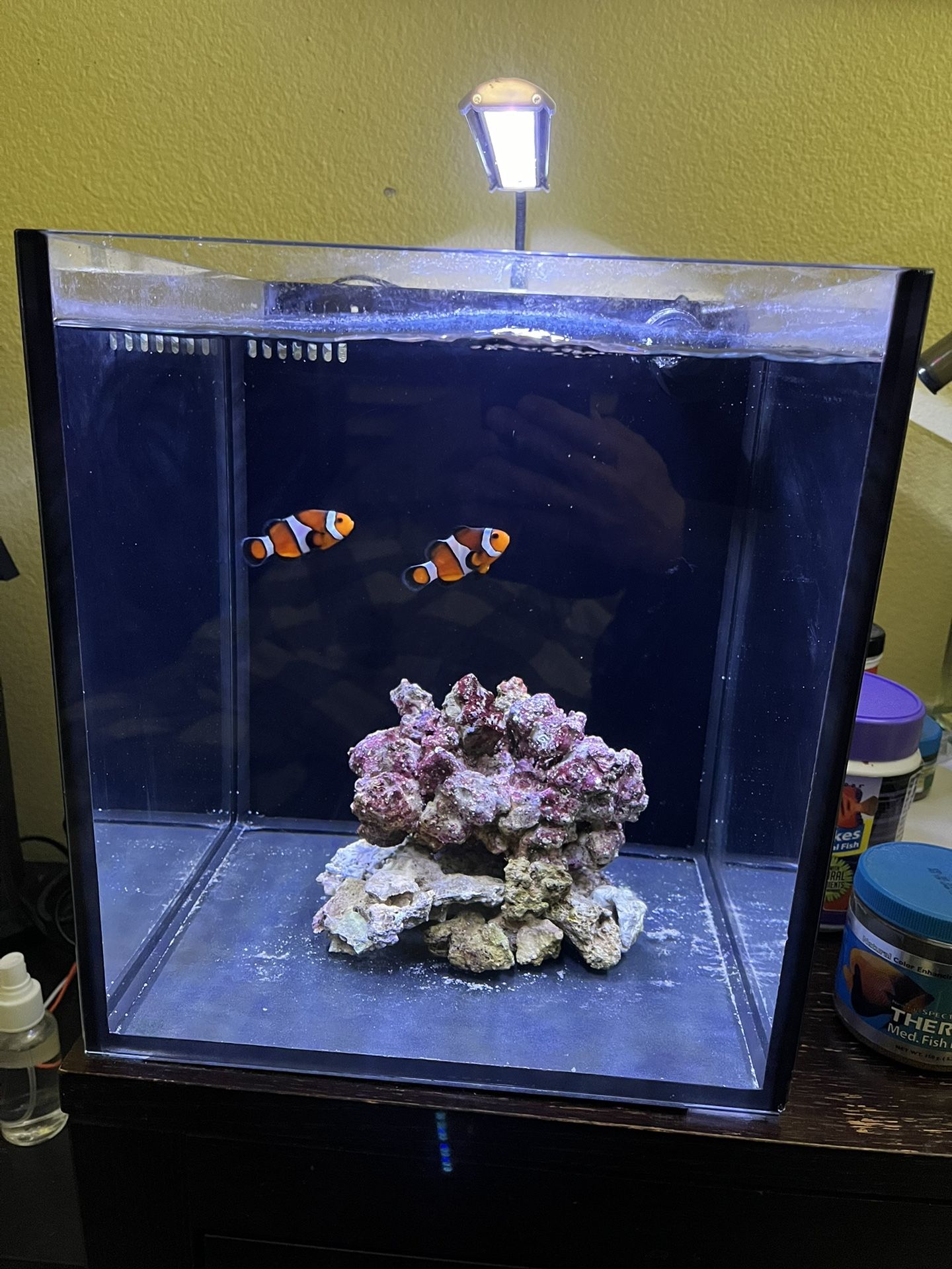 10g Rimless Innovative Marine Fusion 10 Nano Reef Tank