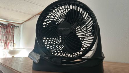 Fan