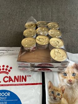 CAT FOOD