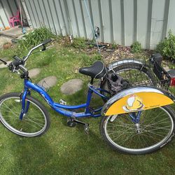 Adult electric tricycle