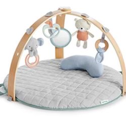 Ingenuity Activity Gym 