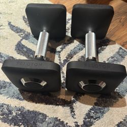 Weights 