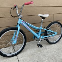 Aluminum Bike Spesialised Sz 20